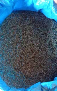 فروش اوشین کوهی