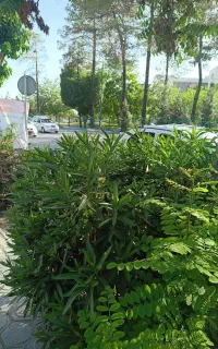 تور گردشگری ۱ روزه کاشان