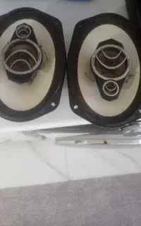 باند پایونیر۶۹۵۵