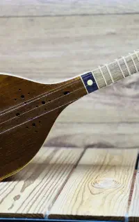 سه تار سروستان مهر اصفهان شیرانی سر پنجه قنبری