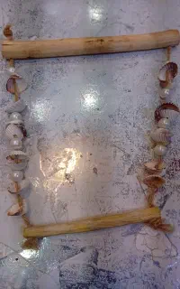 تاب