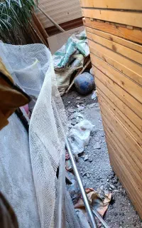 جفت گاه کبوتر  هشتایی در حد عالی مناسب