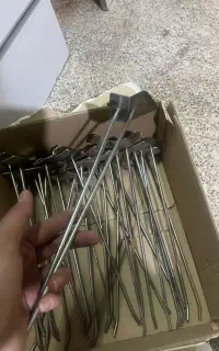 میله رگال