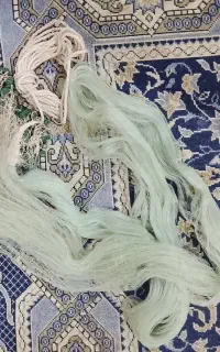 تورماهی گیری
