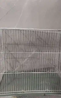 قفس پرنده