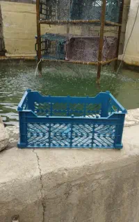 تولید و فروش انواع سبد میوه
