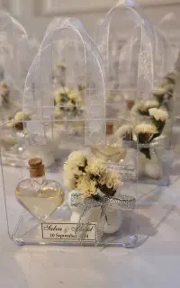 گیفت مراسم (عقدو عروسی )شاخه نبات عروس