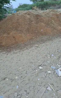 کود گوسفندی موجود است