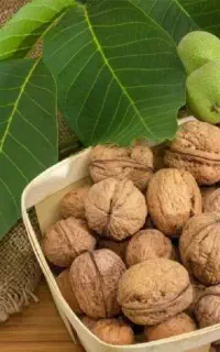 پوست گیری گردو با دستگاه / فروش محصولات خانگی