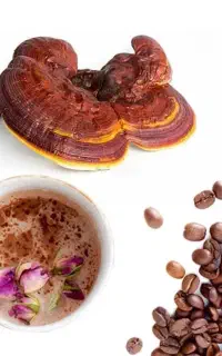 قهوه گانودرما با کیفیت برای شهروندان سیرجانی