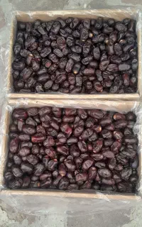 خرما مضافتی