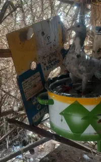 جفت پلاکی مسابقه ای
