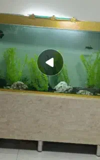 آکواریوم حرفه ای