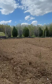 باغبان حرفه ای گرگ