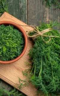 گیاه های کوهی مال گرین الشتر گیاه دارویی