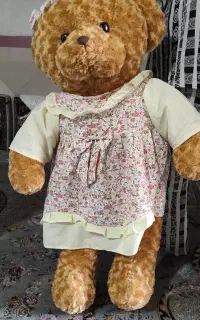 خرس خرگوش
