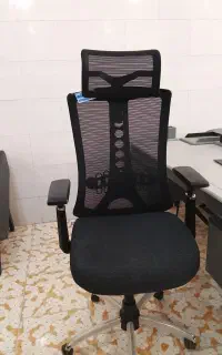صندلی مطالعه دوستان