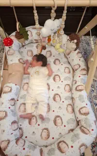 ست تشک گارددار