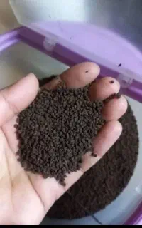 چای باروتی(کیسه ندارم  )فله دارم )