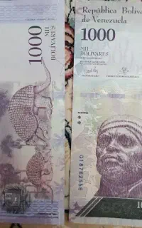 پول ونزوئلا. سری ۵۰ عدد