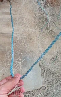 تور ماهی