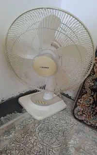 پنکه