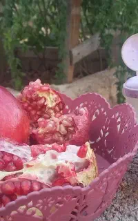 راهنمایی بفرمایید