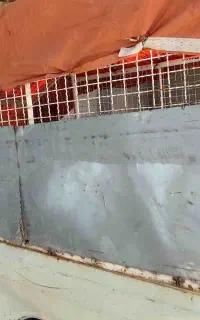 پیکان وانت مسقف اجاره داده می شود