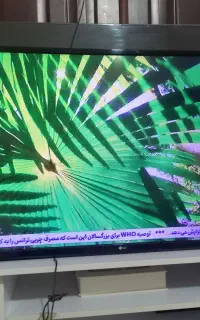 تلوزیون 43 اینچ الجی