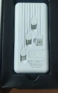 پاور بانک