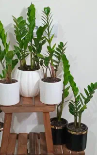 چاپ،انواع عکس،روی تیشرت،کلاه،لباس کار