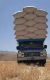 کاه دیم