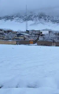 راننده