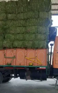 خاور بنز 800 ۷۶شاسی مشکی