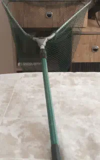 کالوی سایز بزرگ درحد نو