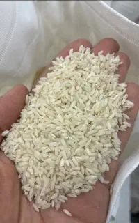 عرضه انواع برنج ایرانی بصورت عمده و جزئی