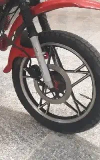 فرش همتاز شکاری