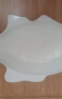 بشقاب ماهی چینی مقصود