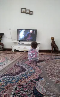فرش ۹متری