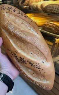 استخدام در نان فانتزی