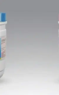 سس دلوسه