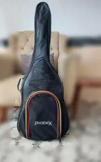 گیتار ایرانی