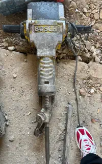 هیلتی بوش