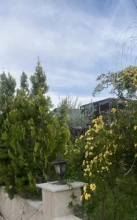 نیازمند سرایدار