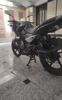 پالس ۱۳۵