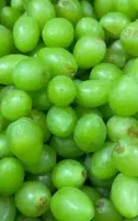 غوره ارگانیک