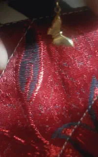 طلا گوشواره گم کردیم در مسیر مشهد
