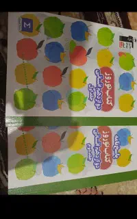 کتاب قلم چی