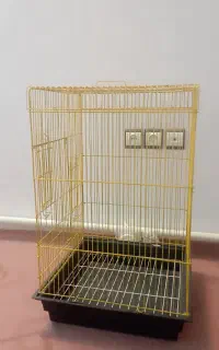قفس