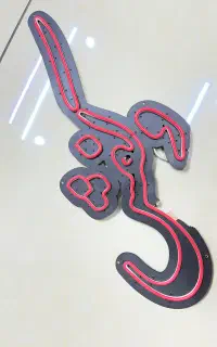 نئون کفش